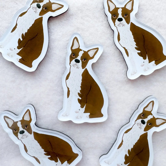 Boston Terrier (Brown & White) Dog Magnet