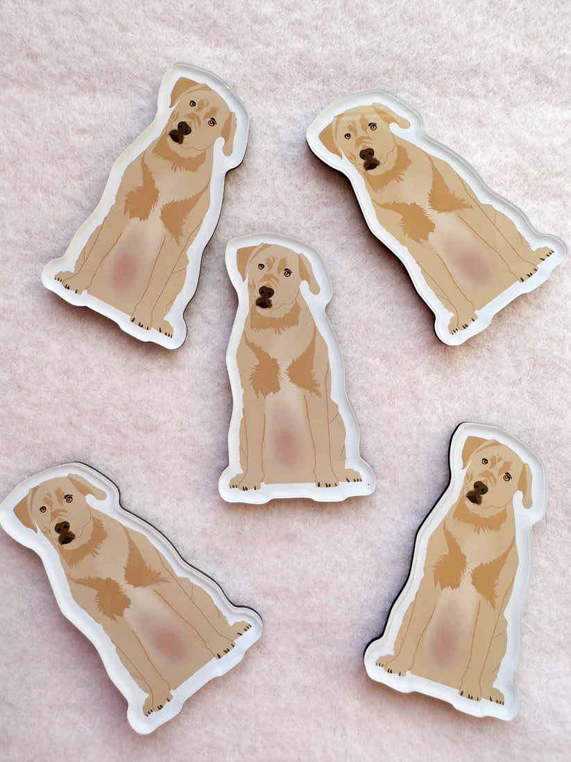 Labrador (Yellow) Magnet