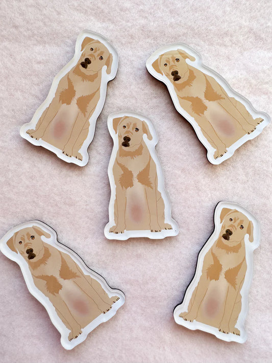 Labrador (Yellow) Magnet